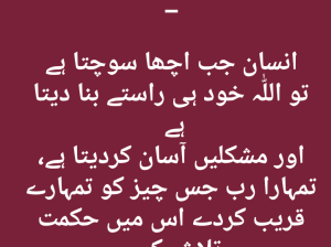 27 Sariki Groom seeking Bride