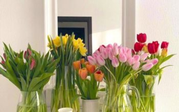 Unfortunately divorced 2 time