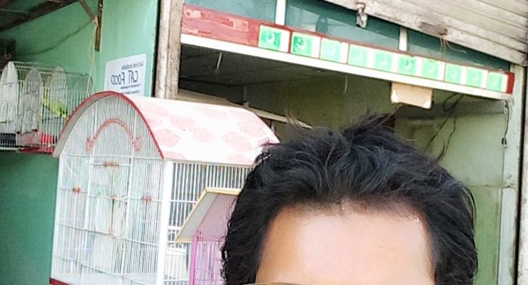 Looking 4 a girl, decent caring lovely soul mate