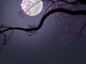 42 Married Boy seeking Proposal for Polygamy