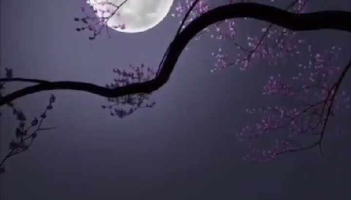 42 Married Boy seeking Proposal for Polygamy